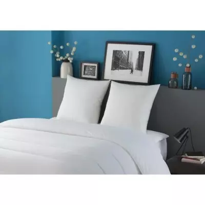 Ensemble de 2 oreillers Tendance 60x60 cm - Fibre polyester - Blanc