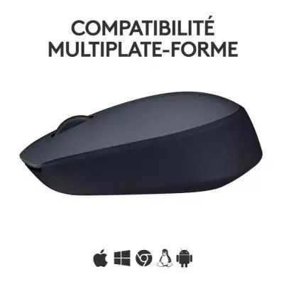 Souris - Sans fil - Logitech - M170 - Gris - Ambidextre