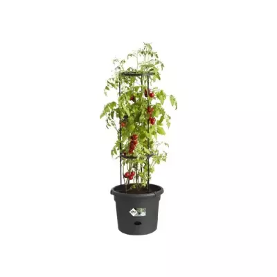Pot à tomate Green Basics - 33 cm - Noir vif - Idéal pour vos plantes - POT DE FLEUR