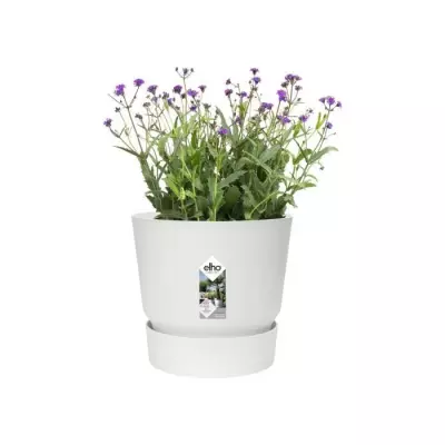 elho Greenville Pflanztopf Ø47 cm blanc - JARDINIERE - BAC A FLEUR