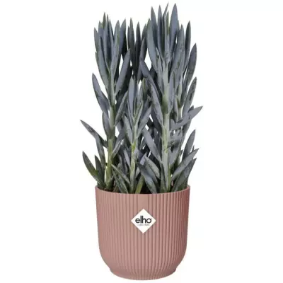 Pot De Fleurs Rond VIBES - Ø22 - Rose poudré - Hauteur 21cm