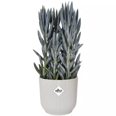 Pot De Fleurs Rond VIBES - Ø22 Blanc: Pour une touche de fraîcheur dans votre espace
