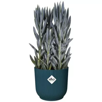Pot De Fleurs Rond VIBES - Ø25 - Bleu Foncé - Design Moderne