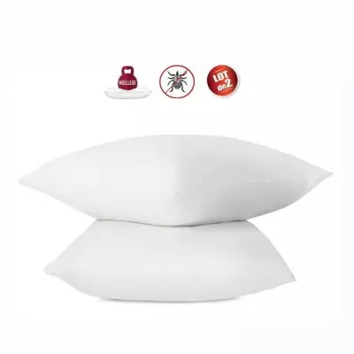 Lot de 2 oreillers anti-acariens en coton traité Biome - ABEIL