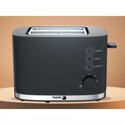 Grille-Pain Fagor FG250 : Compact et Polyvalent