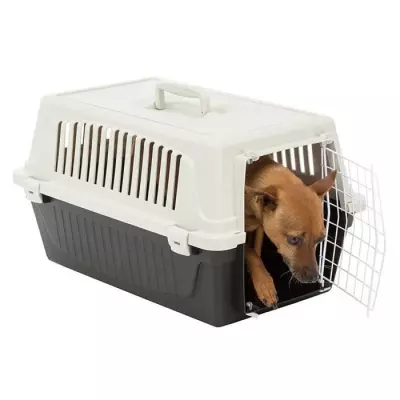 Panier de transport pour chats et petits chiens ATLAS 10EL - Pratique et confortable