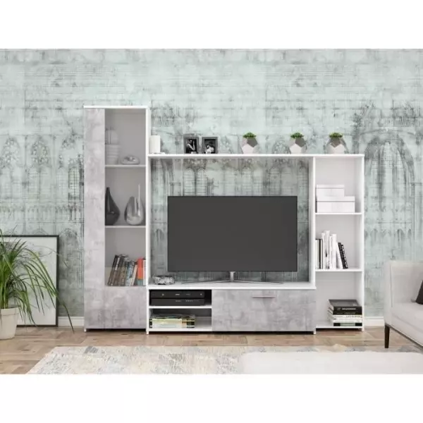 Meuble TV paroi murale - Blanc mat et béton clair - porte vitrée + 5 niches - Contemporain - L 220,4 x P41,3 x H177,5 cm - PIL