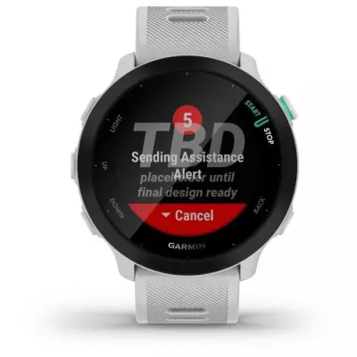Montre connectée sport GARMIN Forerunner 55 - Blanc - Performances ultimes