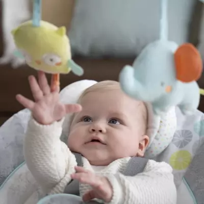Balancelle Ingenuity Swing and Go Hugs & Hoots - Compacte et Ludique