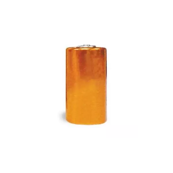 PETSAFE Pile alcaline 6 V pour collier - Pour chat et chien