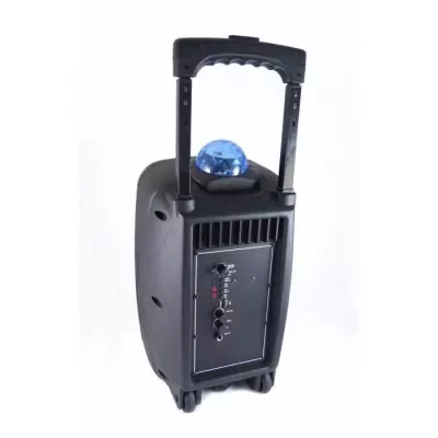 Enceinte Bluetooth 450W Karaoké Boule LED Multicolore