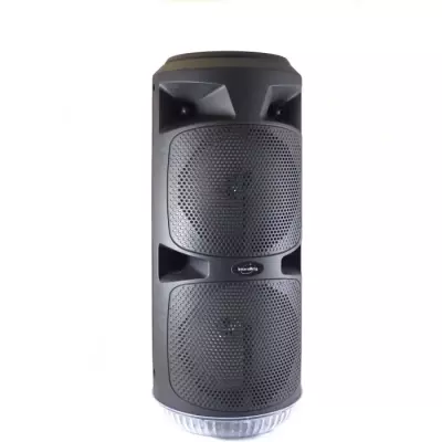 Enceinte Karaoké Bluetooth 450W - INOVALLEY KA03-XXL