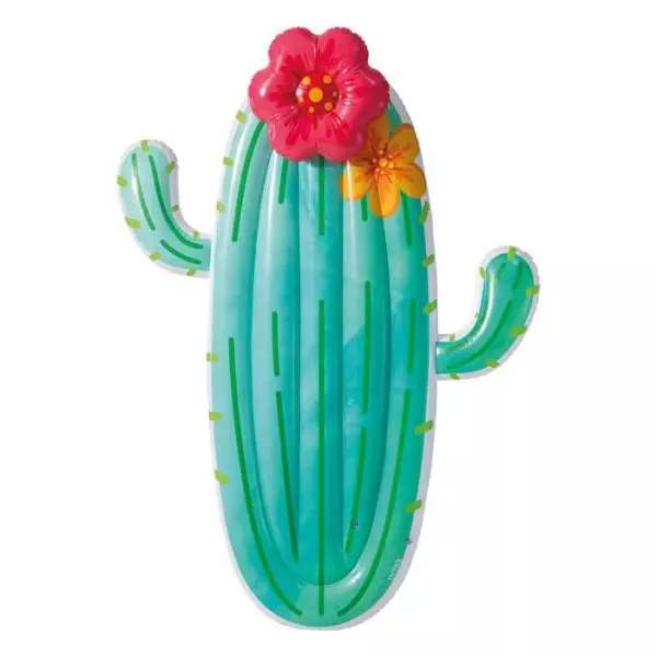 Matelas gonflable Intex Cactus