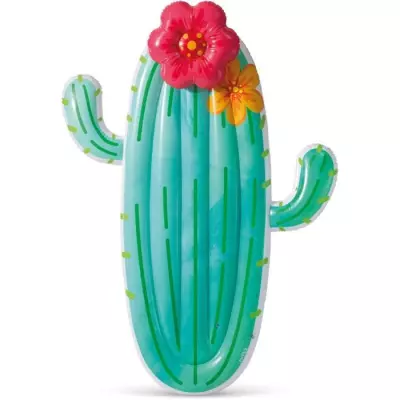 Matelas gonflable Intex Cactus - Fun et compact pour la piscine