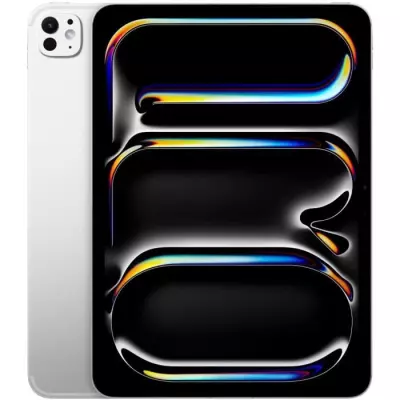 iPad Pro 11 - WiFi + Cellulaire - Argent 512Go