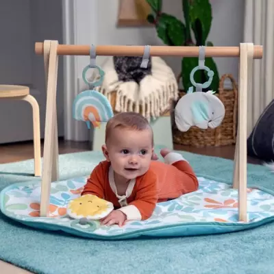 Tapis d'éveil Sun Valley avec arche en bois - 3 jouets amovibles
