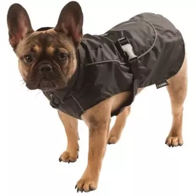 Manteau de Pluie pour Chien Noir Taille L - Protégez votre compagnon !