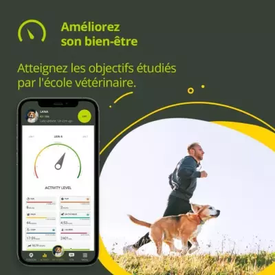 Collier GPS KIPPY Evo pour Chiens et Chats - Marron Bois