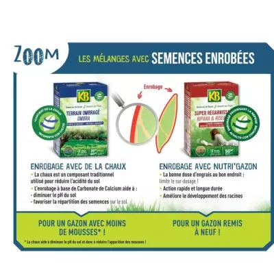 Graines de Gazon KB KREGFAC100 - Regarnissage Express 2kg - Pour Terrains Ombragés