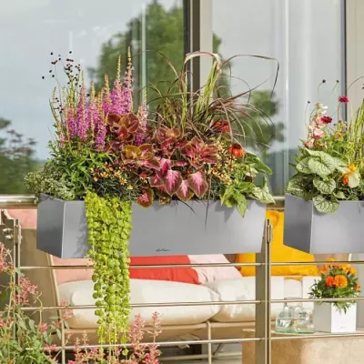Pot de fleur LECHUZA Balconera Steel 80, gris perle satiné - Design moderne et pratique