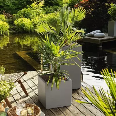Jardinière LECHUZA avec Poignées Intégrées 446100 - Pot de Fleurs Design