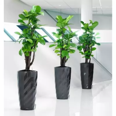Pot de fleur LECHUZA Diamante Premium - anthracite métallisé, kit complet