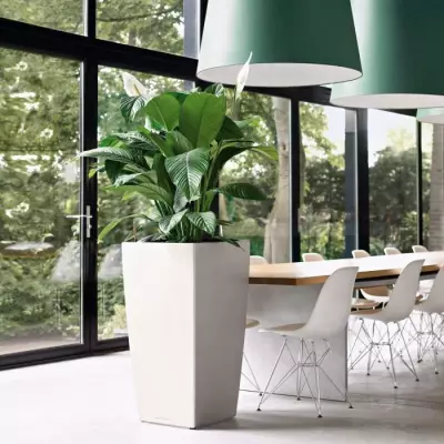 Jardinière Cubico 50 Charbon - Tout en un!