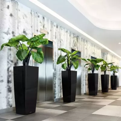 Jardinière Cubico Alto 40 Taupe brillant - Tout-en-un pour un jardinage facile