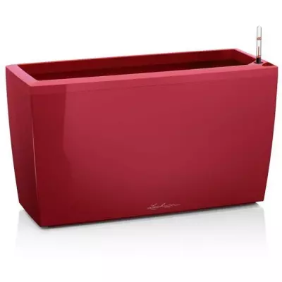Pot de fleur LECHUZA Cararo Premium - rouge Scarlet brillant