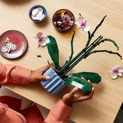 Embellissez votre intérieur avec ces Orchidées LEGO Icons 10311
