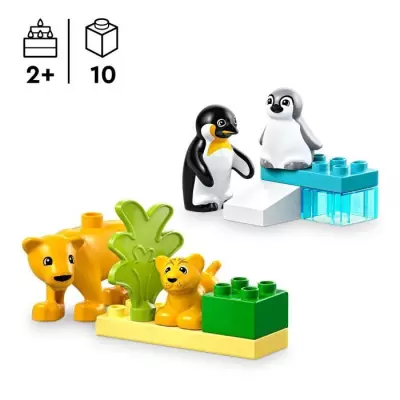 LEGO DUPLO Ma ville 10442 : Familles d'animaux sauvages - Pingouins et lions
