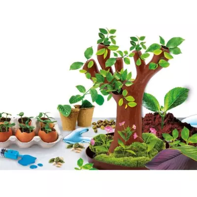 Découvrez la botanique avec le jeu scientifique Génius Science