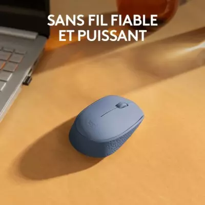 Souris Logitech M171 Ambidextre Bleu Gris - Sans Fil