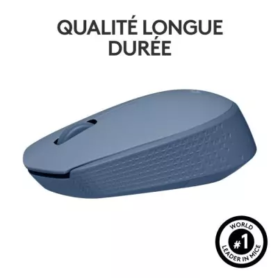Souris Logitech M171 Ambidextre Bleu Gris - Sans Fil