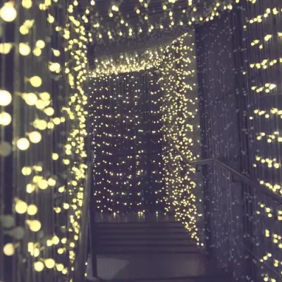 Guirlande lumineuse solaire Billy - LUMI JARDIN - 60 LED - Blanc chaud
