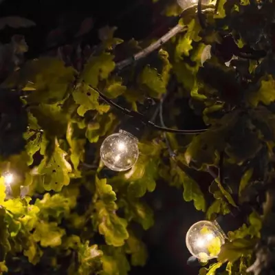 Guirlande lumineuse extérieure Party Clear - LUMI JARDIN - 20 globes LED - Blanc chaud