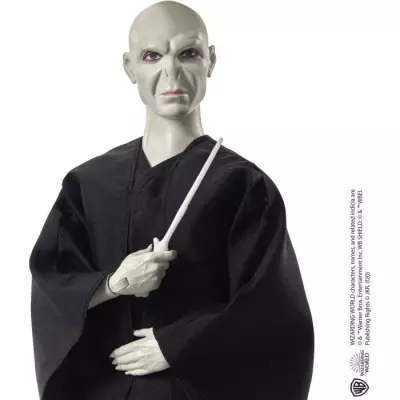 Collection Harry Potter-Lord Voldemort: Coffret poupée et accessoires