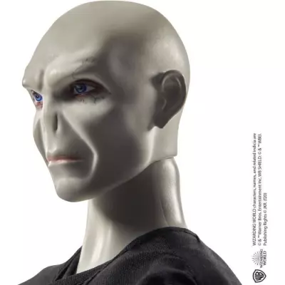 Collection Harry Potter-Lord Voldemort: Coffret poupée et accessoires