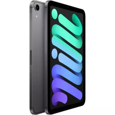 iPad mini (2021) - 8,3 WiFi + Cellulaire - 64 Go - Gris Sidéral - Compact et performant