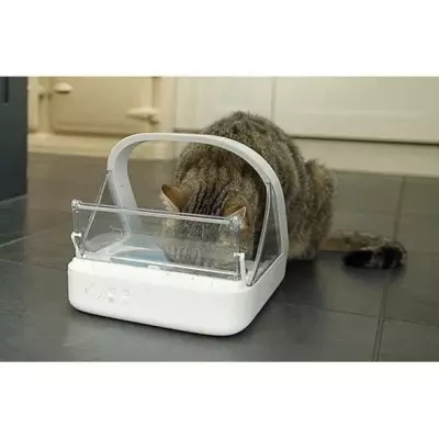 Distributeur de nourriture à puce Surefeed - Blanc - 4 accessoires
