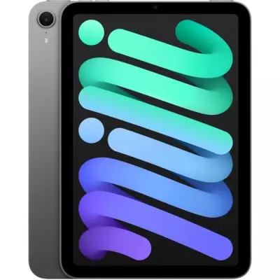 Nouvel iPad mini (2024) - 8.3''- WiFi - 256 Go - Gris Sidéral