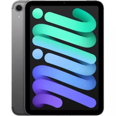 iPad mini (2024) 8.3'' WiFi + Cellular 256 Go - Gris Sidéral