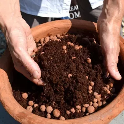 NATUREN Billes d'Argile - 40L: Argile de Qualité Supérieure