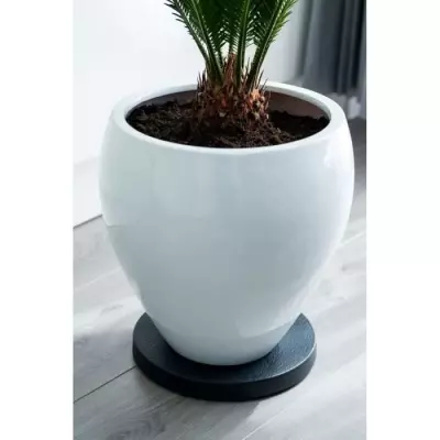 Tablette à roulettes pour plantes - Facilitez le déplacement!