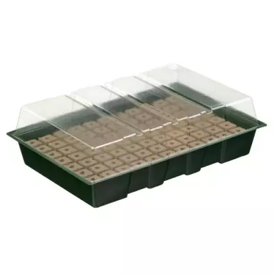 Kit mini propagateur 7x11 cellules | Pack germination & bouturage