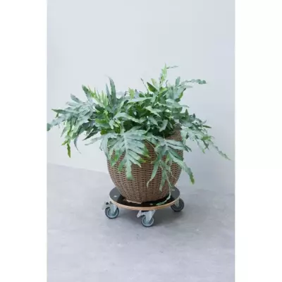 Support de pot roulant carré en bois FSC pour plantes jusqu'à 250 kg