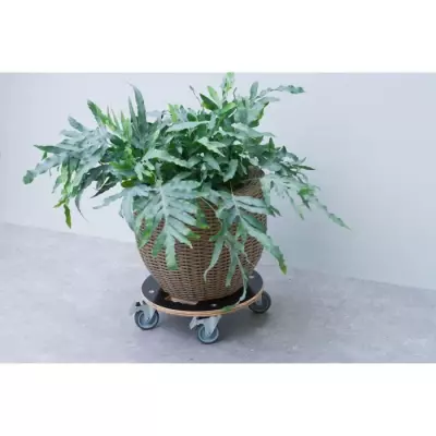 Support de pot roulant carré en bois FSC pour plantes jusqu'à 250 kg