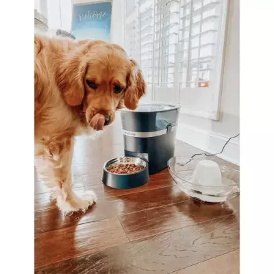 PetSafe Distributeur Automatique Connecté Smart Feed pour Chien/Chat