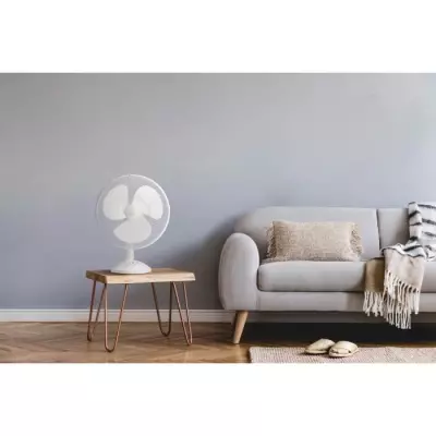Ventilateur de table OCEANIC - Puissant et Silencieux