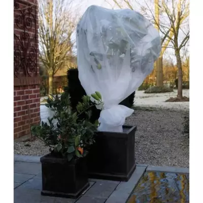 Nature Couverture polaire d'hiver 30 g/m² Blanc 2x10 m - Protection pour Culture